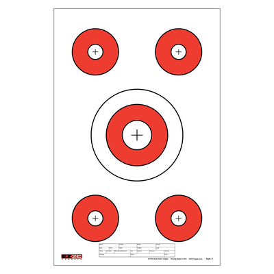 EZ2C Targets #3: Paper Shooting Targets 11"x17" USA Made